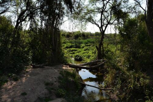 Humedales, terraplén